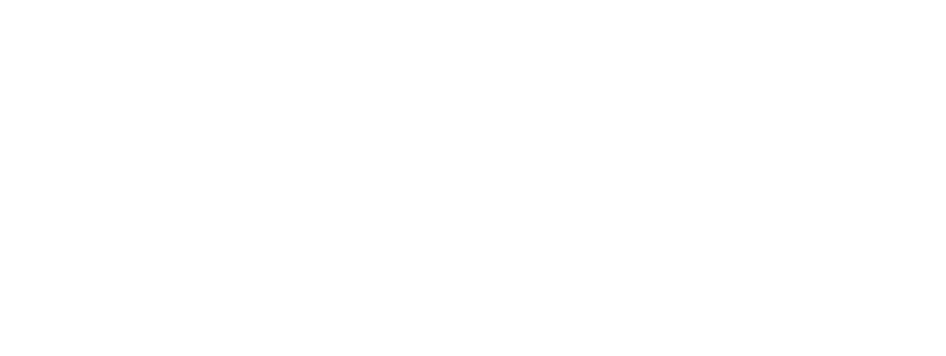 Project Voyce Logo White